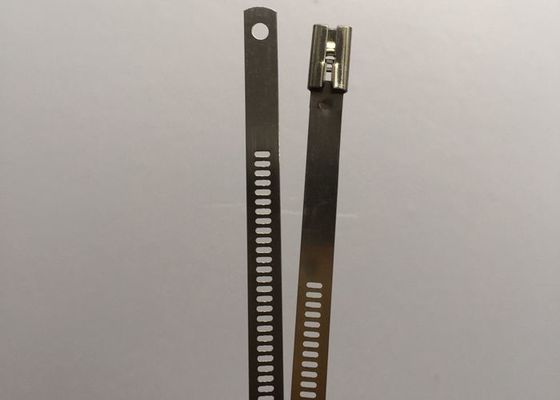 China Fechamento do auto CE de aço inoxidável ISO9001 do GV do UL das cintas plásticas da escada de 12 x de 490mm fornecedor