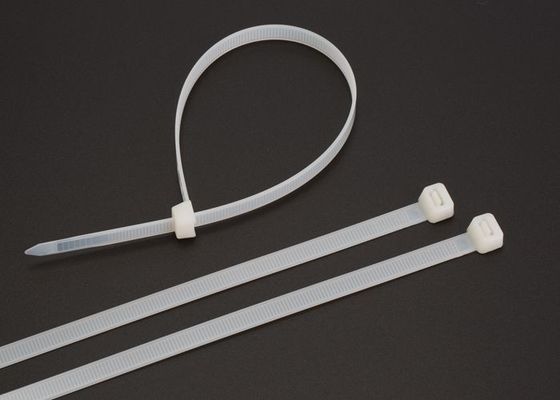 China A liberação rápida as cintas plásticas de nylon de 8 polegadas/fecho de correr bonde amarra OEM/ODM disponível fornecedor