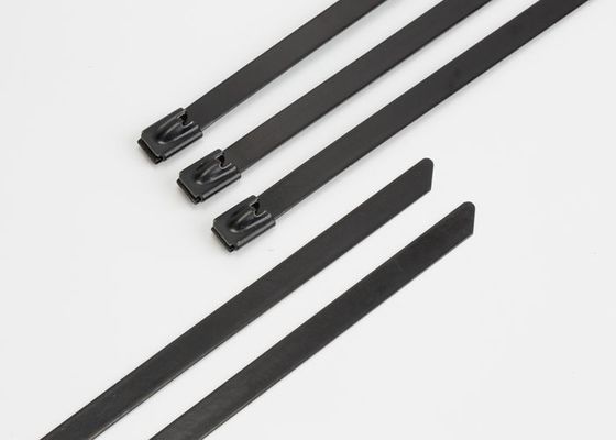 China cintas plásticas de aço inoxidável revestidas da cola Epoxy completa de 4.8x 600mm para a proteção dos objetos fornecedor