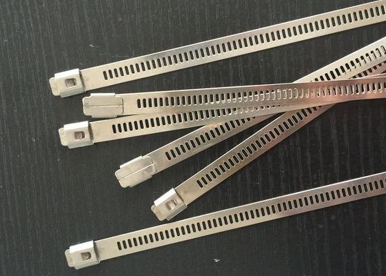China Cintas plásticas de aço inoxidável despidas da escada SS304 com o fogo de Barb do metal - resistente fornecedor