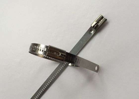 China As cintas plásticas do estilo da escada SS304, fecho de correr de aço inoxidável do cabo amarram a largura de 12mm fornecedor