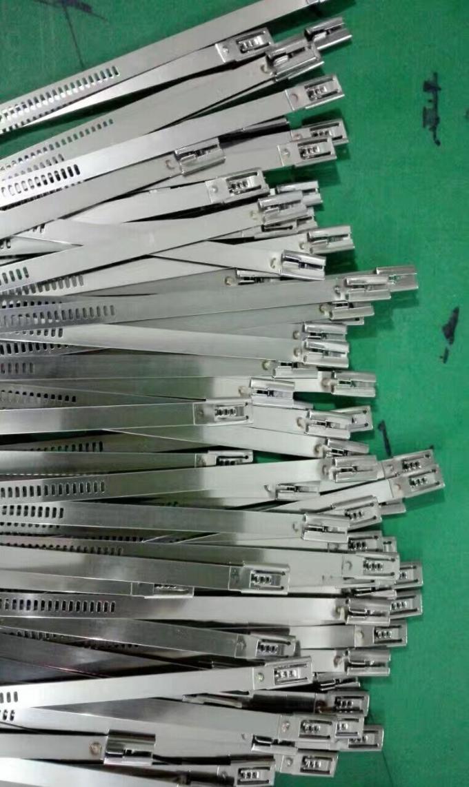 Auto que trava cintas plásticas de aço inoxidável da escada com plano e cabeça do perfil baixo